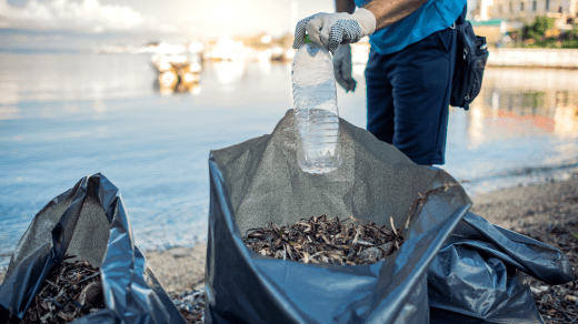 All-in-One Pond Maintenance and Repair: Ensuring Long-term Sustainability